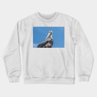 Cleaning Pelican Crewneck Sweatshirt